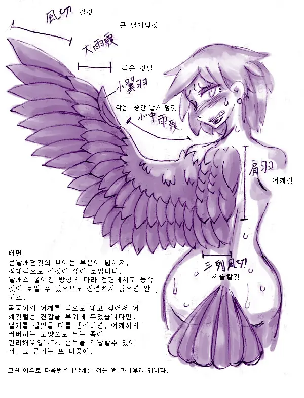 Tori TF Ni Kansuru Kousatsu To Renshuu | Study And Practice About Bird TF